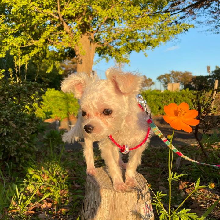 0b6b9207 2e8b 40f3 8f6c f5da18596e29 1636010332774