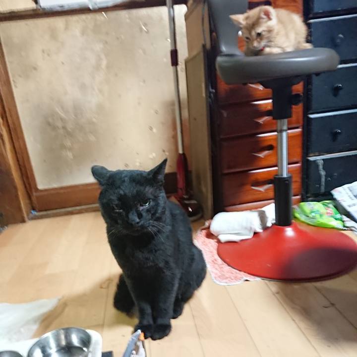 0b6b96f7 0564 432e ab5e 4636cc353cf8 1629724147273