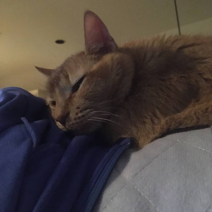 0b6b973b 1b7a 4999 910a 48a84e15370a 1653007419901