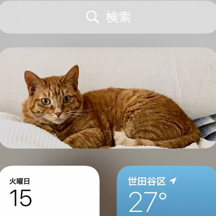 0b6bb2f7 a1ca 4f30 b499 6fb30ea239a4 1623815806693