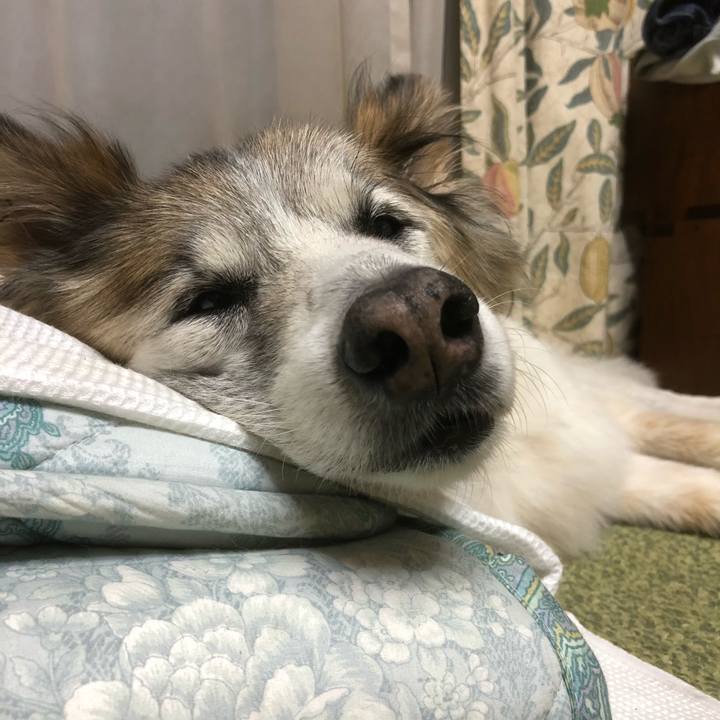 0b6bd6f8 6981 475e 9957 707762564be4 1538037203072