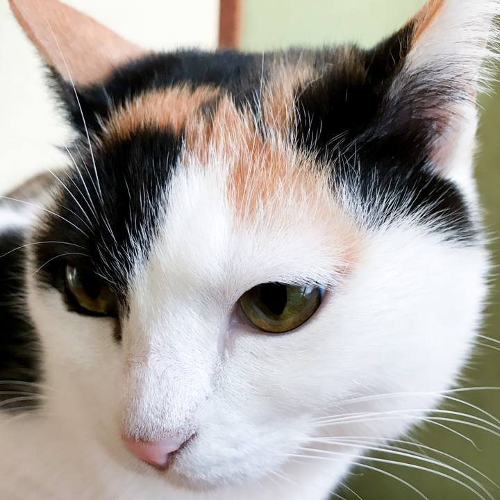 0b6bdaf1 3e70 469e b19a 3deff93c9ea7 1515803857937