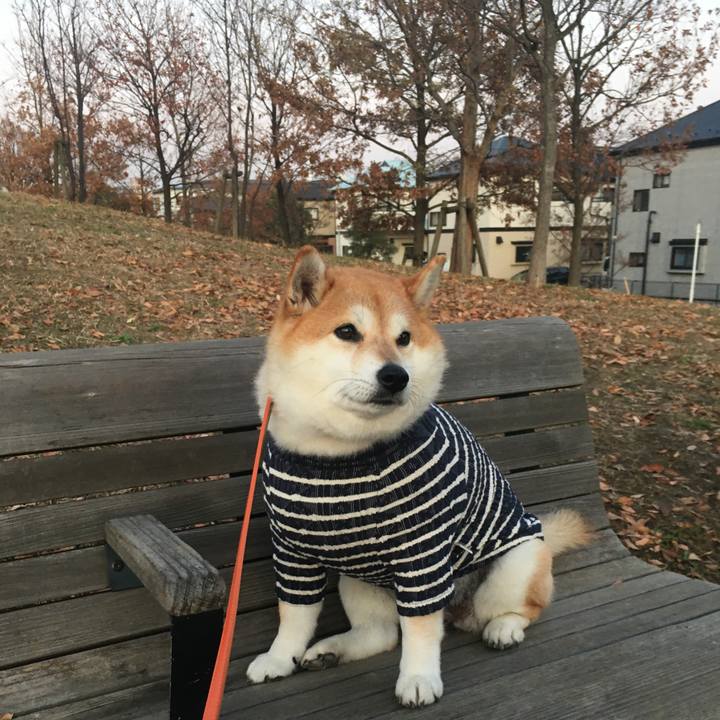 0b6c2045 b530 4dd1 b097 100327237e96 1576486907516