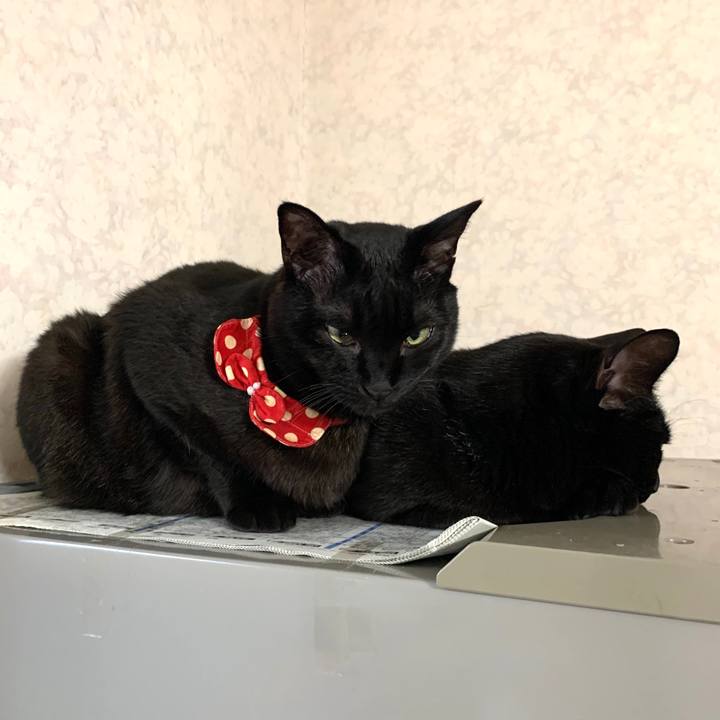 0b6c6519 aedf 4a53 8ca4 216dd536a840 1582332953535