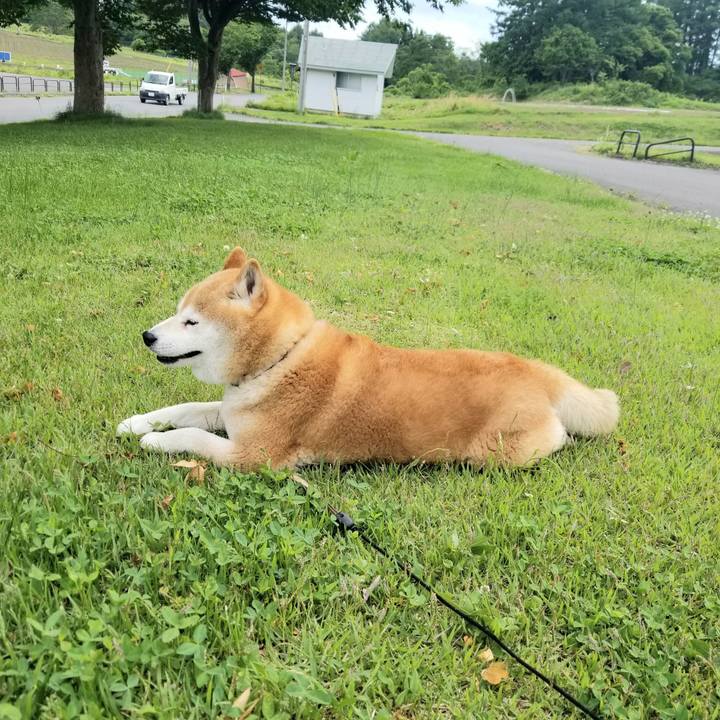 0b6ca3f3 65ce 4914 92cc 9e30deaa61e1 1653977070975