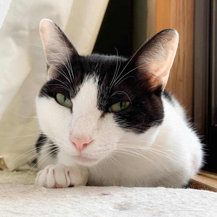 0b6cd535 89bd 4361 8a3a 37ae78123465 1572311662124