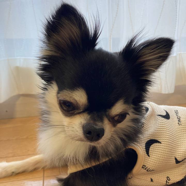 0b6cf554 d0ef 4024 bc69 310efec1c4cc 1699025769372