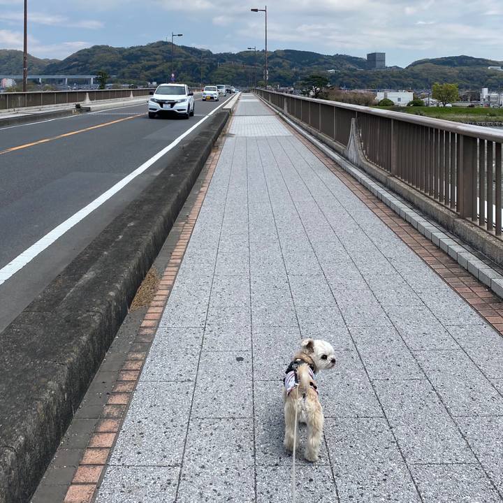 0b6d1174 7f06 4643 bcf3 6f00bbfe1014 1586584739046