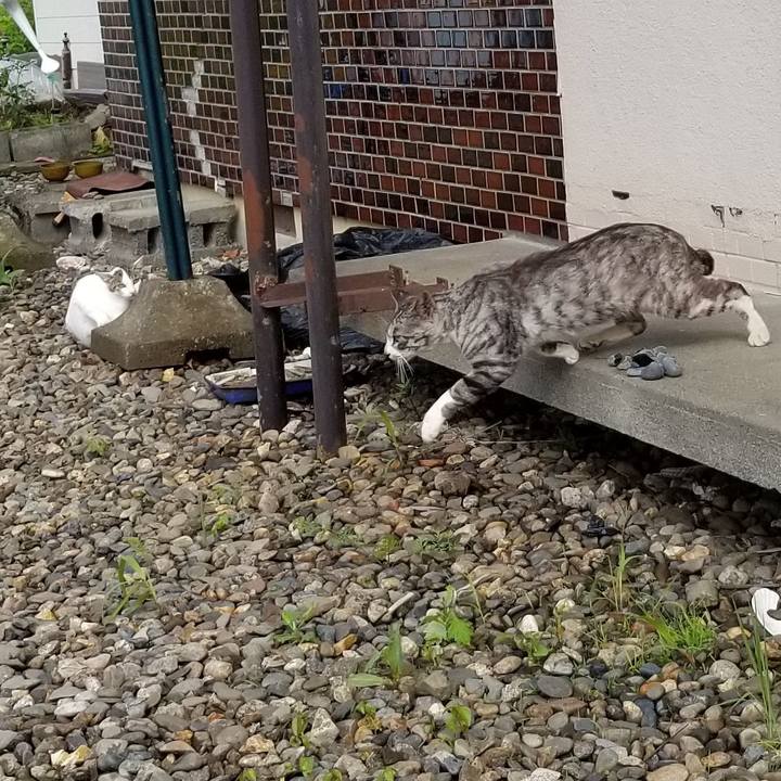 0b6d56ae 8959 4d55 a238 6bc22171b19d 1593476346463