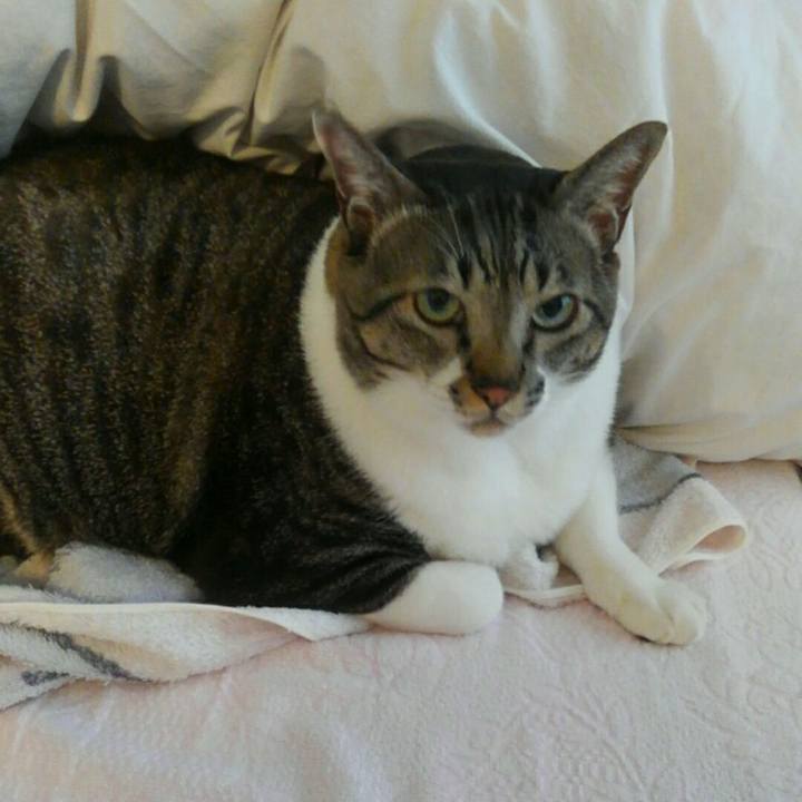 0b6d86aa 7716 4556 80bb dbd67be50aac 1509803720813