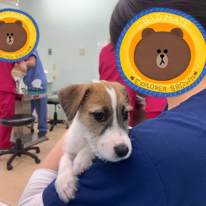 0b6d8ac4 d190 4ff5 a056 850d3f89b1ad 1559739878302