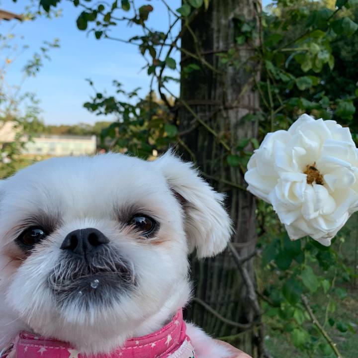 0b6daa7d cded 4880 936d 907c6334601e 1699087226088