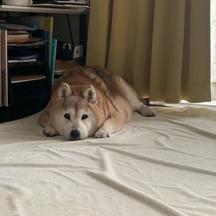 0b6db6b8 a643 48ce bbe1 8cc3b3353bd4 1681545664925