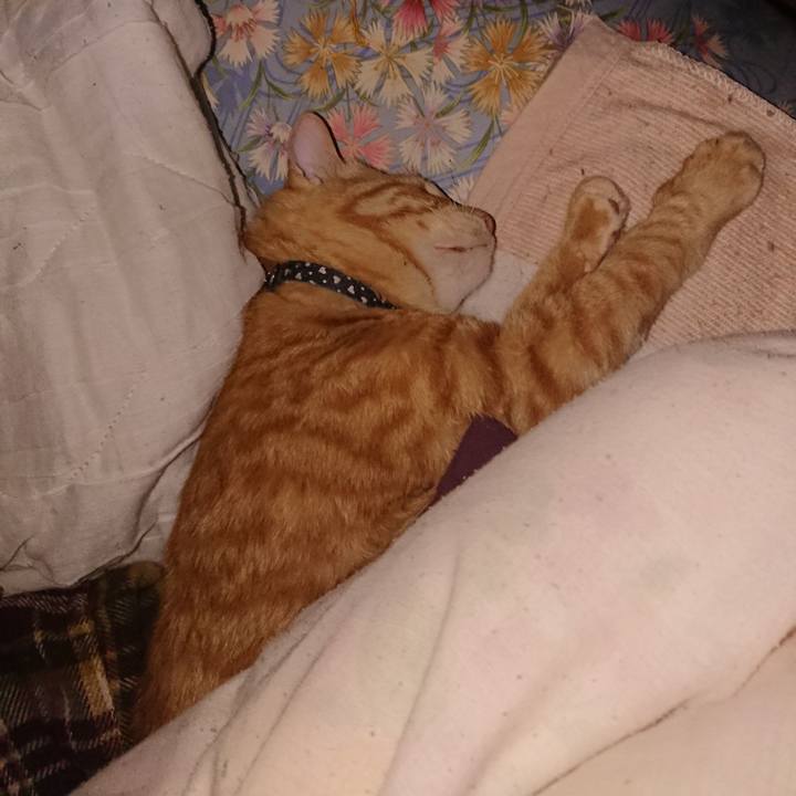 0b6dc481 1dfe 4964 803a 2fe6da3765de 1641676122258