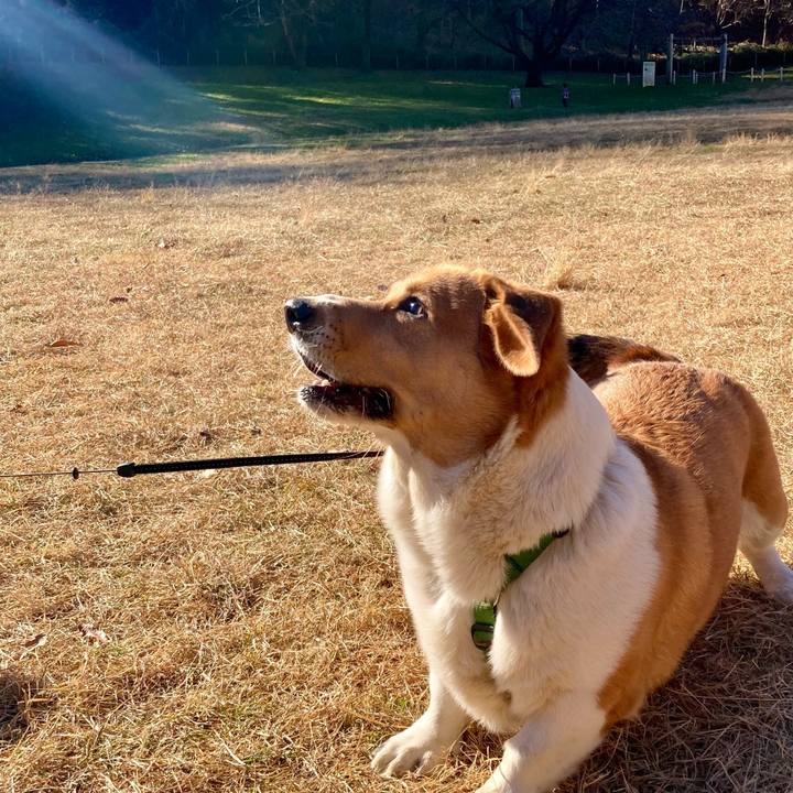 0b6dfe6b fbcb 4eda bded 5719cc655f06 1705536019402