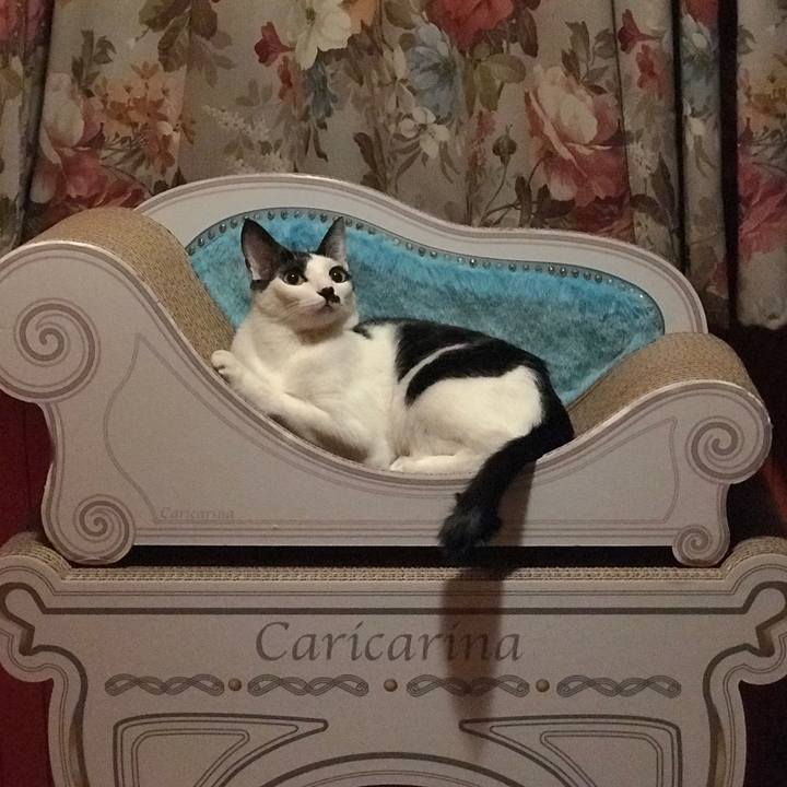 0b6e0fbc dcc3 4730 ab91 440aca815ff6 1516382530085