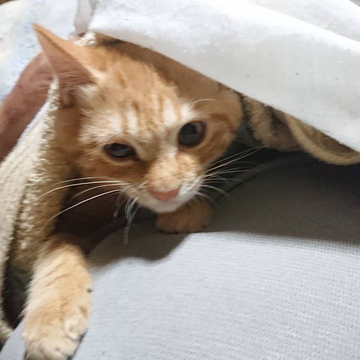 0b6e2c9c 9fd3 4ec2 9091 2121a1850bb5 1633466369482