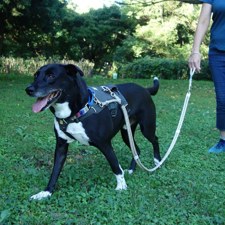 0b6e4ed0 e8b7 4749 ac4a a6249065465e 1660869510588