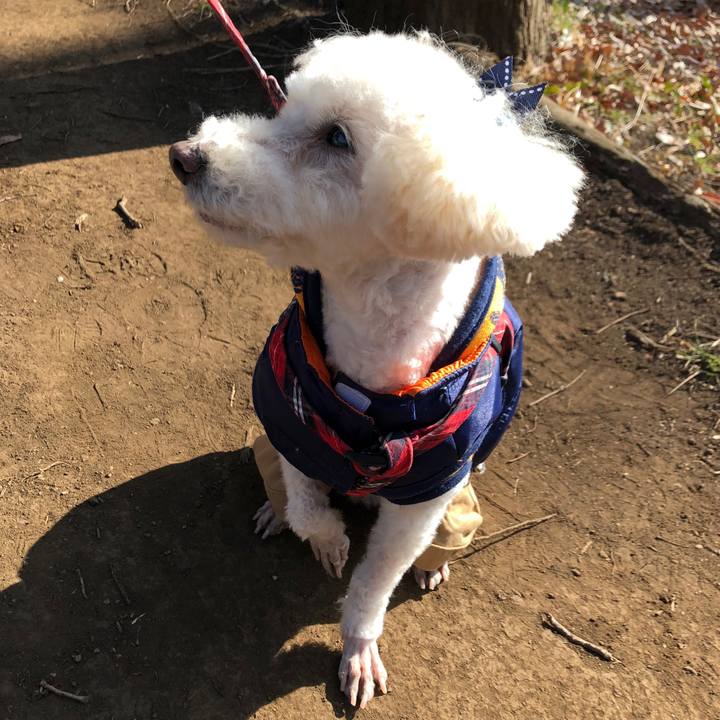 0b6e5d0f 6092 4fdf ab13 10a0280eb772 1551537105538