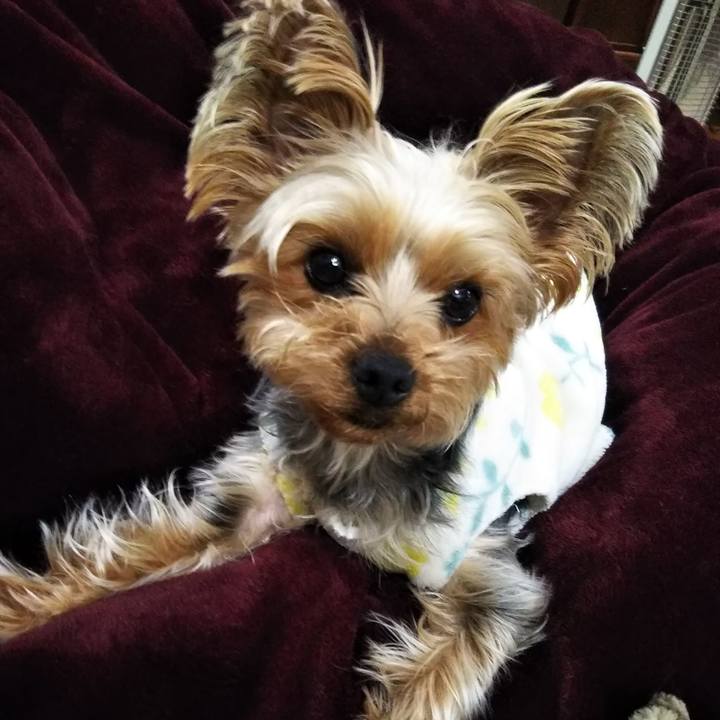 0b6e638f 6852 43c3 8ce9 8b2cb2865942 1617802512107