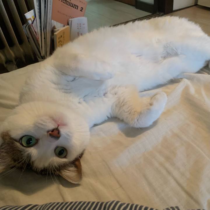 0b6e68ff 5e97 4b88 82bb 76fbe946629b 1620579460884