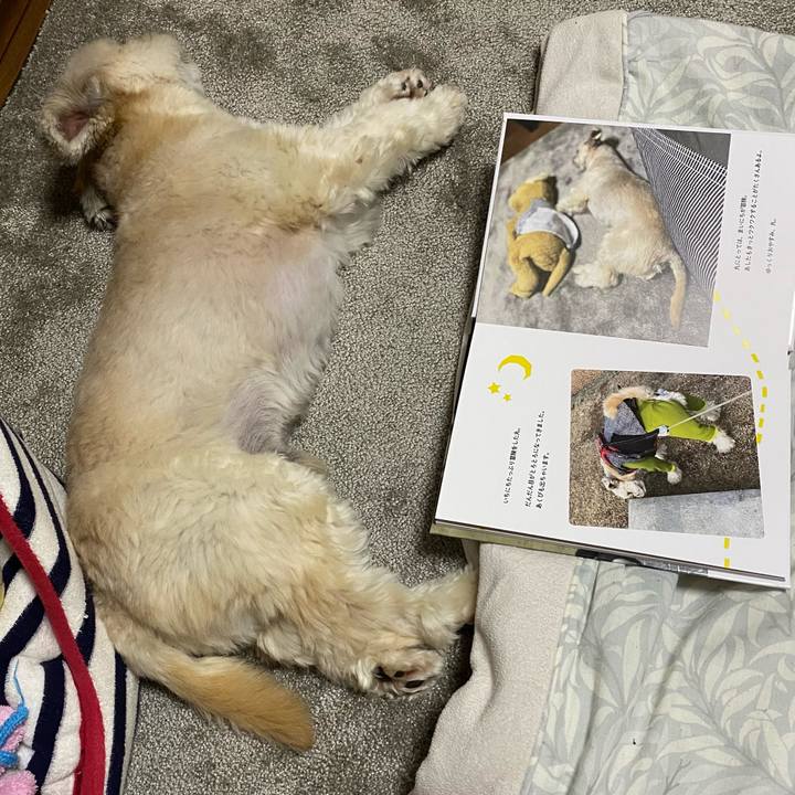 0b6e6c48 54eb 4854 99b4 fba3eff04d40 1625058866473