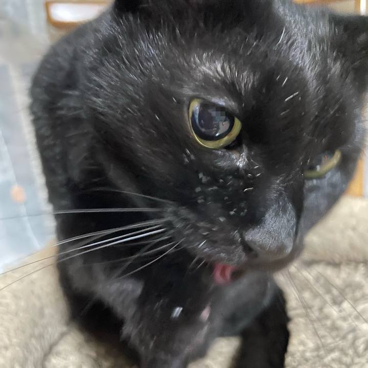 0b6e6def afa7 4ce3 bb8b dc891e29061b 1771080373022