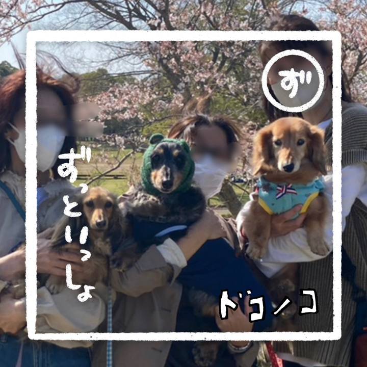 0b6e9e8a 60cf 4a1c 9340 079723d8d3bf 1685939752734