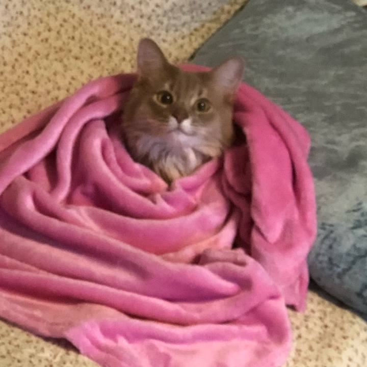 0b6ece5a b918 4d08 8424 81906678eb3b 1584359943853