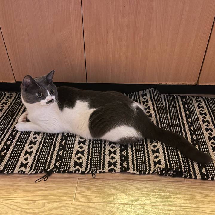 0b6f0df6 7ccb 4a4e b40c 185741181b0c 1659480014902