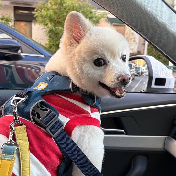 0b6f500d aa81 4ad2 96ed 4a931284f6a0 1765110829707