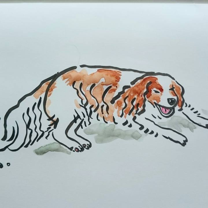 0b6f5833 4551 4340 ae9d 9c68a86e3ffb 1564306649105