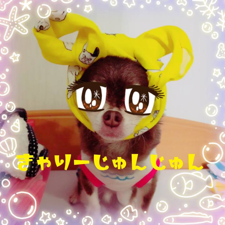 0b6f8247 c42b 43d7 9ec9 9d4d9a614c0f 1562503163932