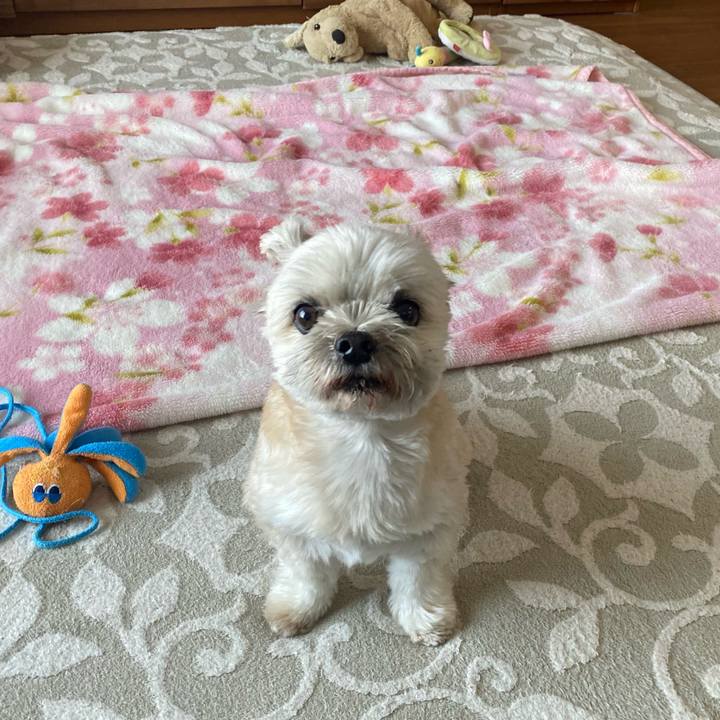 0b6f8c6e 7adf 49a8 b4a3 6c31702f414f 1711108363677