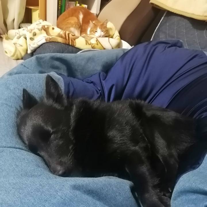 0b6fb022 6104 4f4d a91a 18f19bde7e28 1616936753418