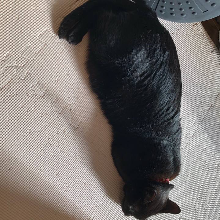 0b7040b2 92cf 4025 b88d f7f0b826244d 1630970685690