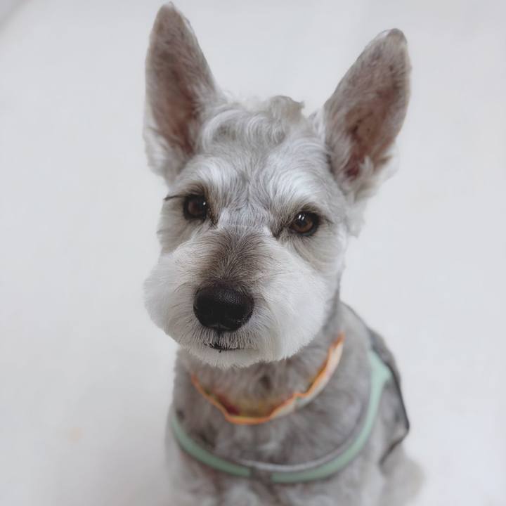 0b707a82 c668 40fa b641 ebe36a6dcb08 1774506167024