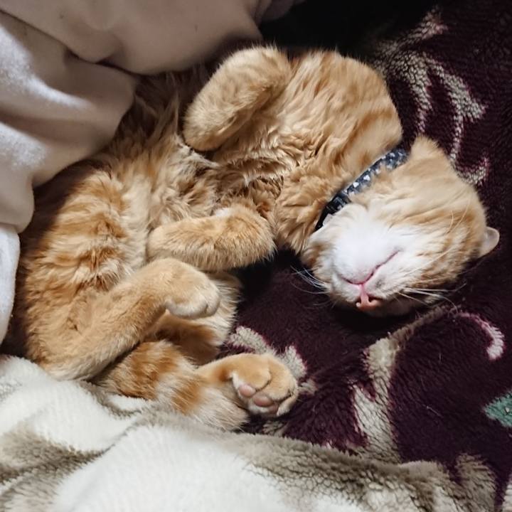 0b707f81 5467 4fb9 8e8d 242d8d3b41cd 1638100039809