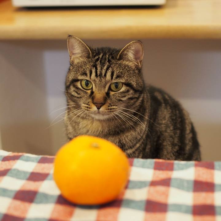 0b70aba6 b366 4779 bb3a 130db6a8199c 1545483614057