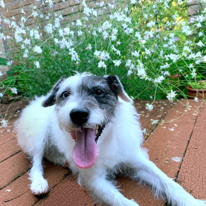 0b70cee9 d5d6 4d6c 9dd8 77256410478c 1625177158740