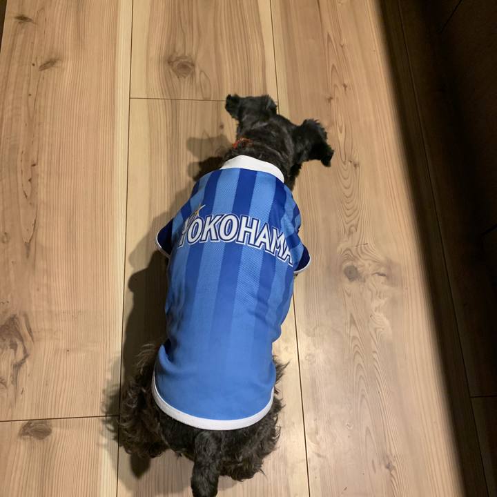 0b70d6ec 8123 4f0a afc6 3c0c3f586d43 1599384273113