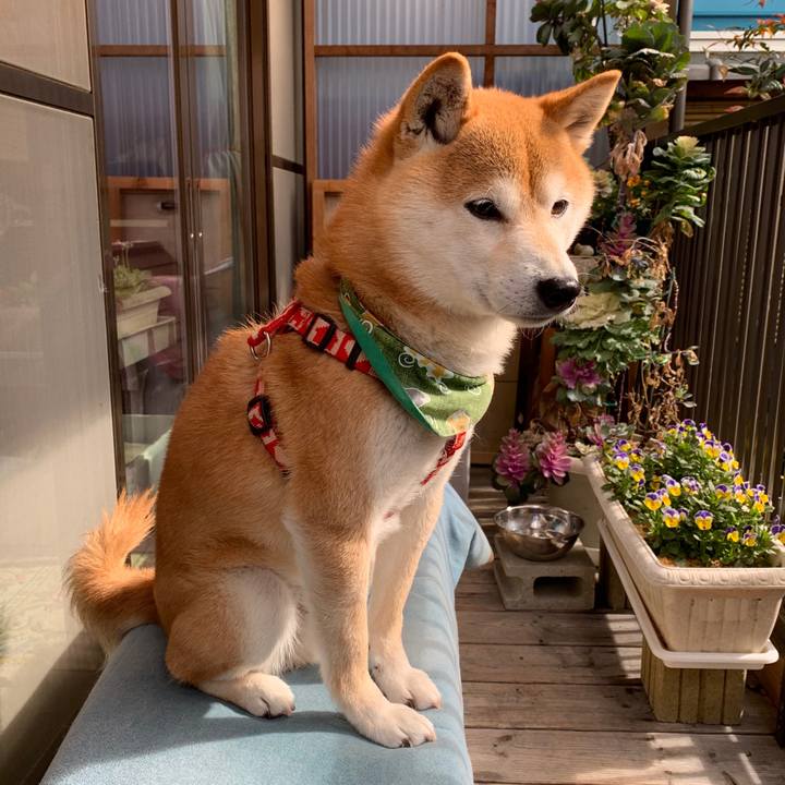 0b70e400 977d 41ba 814e 0107aac74423 1584787340290