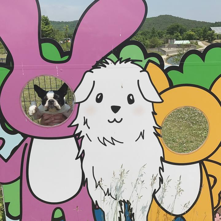 0b70ed92 912c 442c a77c 439eb89657ac 1528725314532