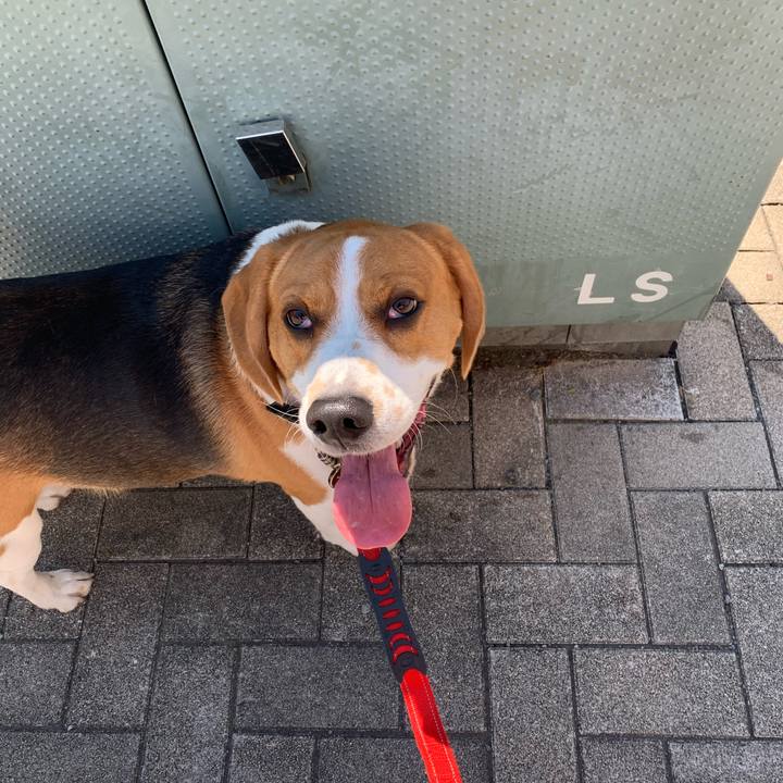 0b7131e2 c59d 4f75 9099 37ce616c5f9f 1587783395502