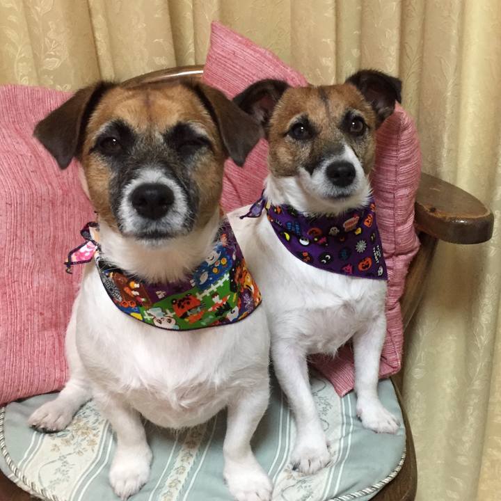 0b7133b9 2b10 48ee a014 c9156120e152 1540989378385