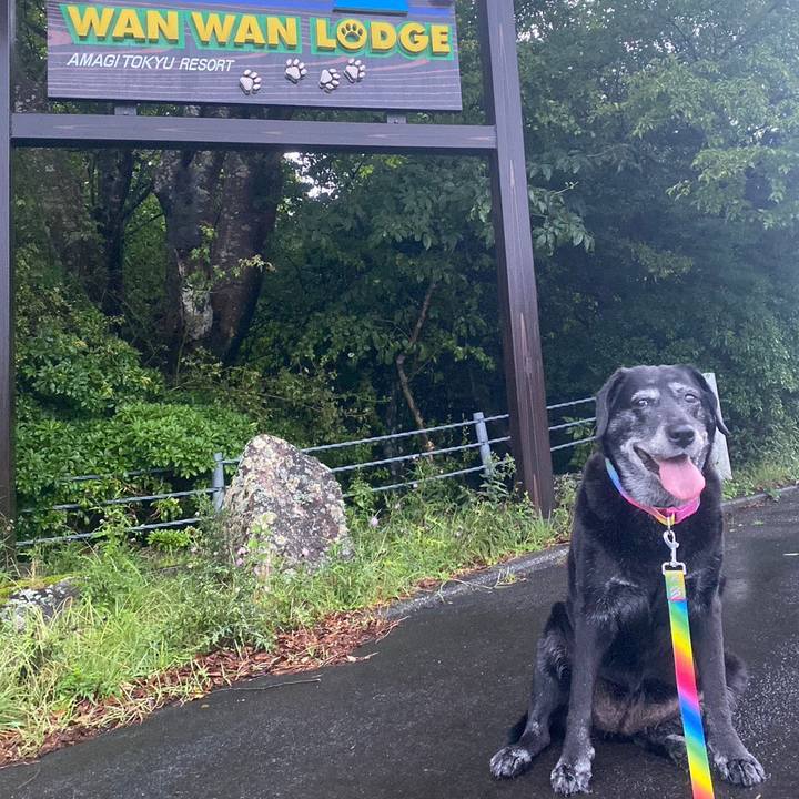 0b713421 d13f 4313 b42a 5b68fa5f5762 1692756515954