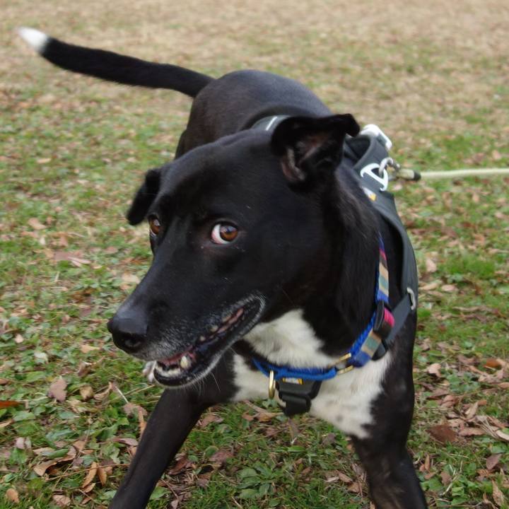 0b7141ac 5e46 4e7c 9148 17c6bcf8eaa5 1638839768523