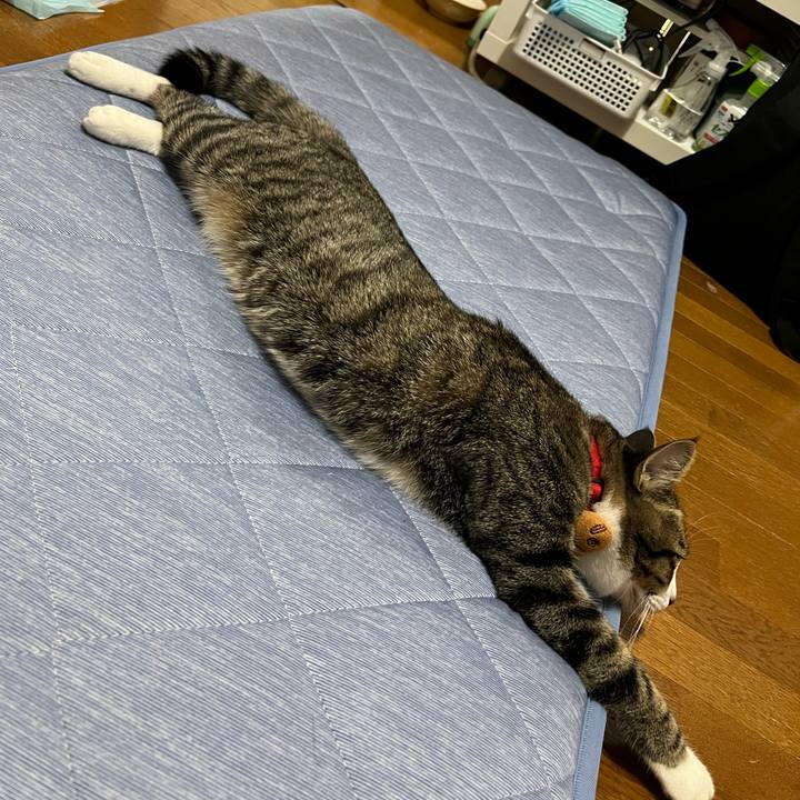 0b71a0e8 aa83 4c38 ba2a 3628d682580c 1757990025960