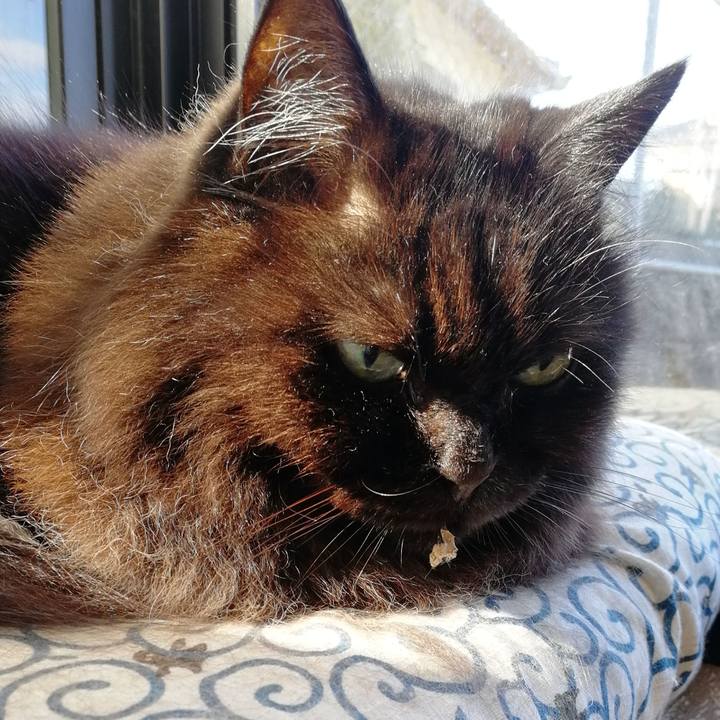 0b7224c3 2ecc 4f0c a775 6dfa44a91dff 1539407169289