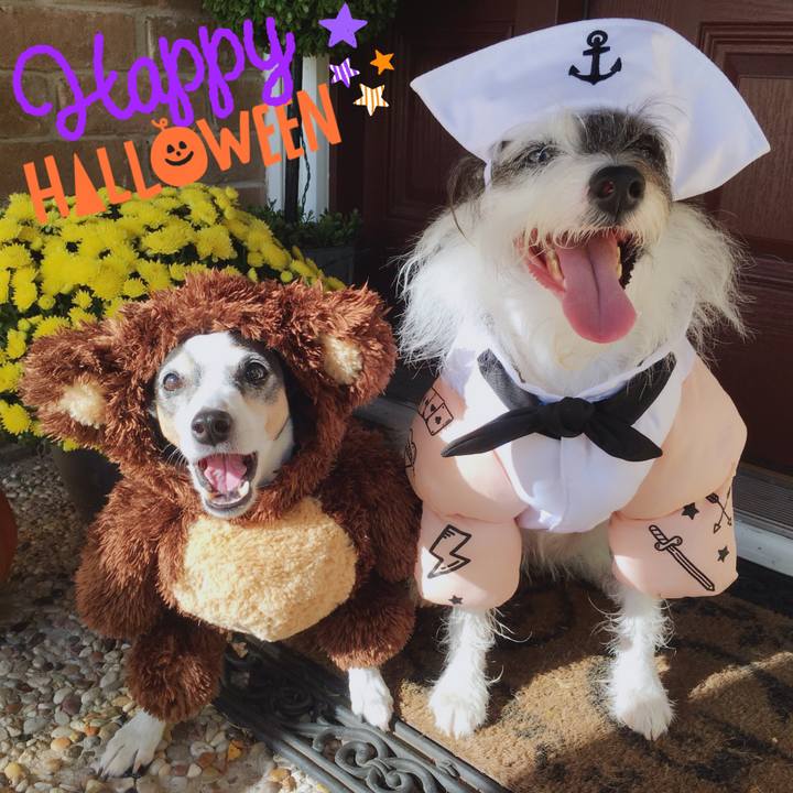 0b72461f 7401 45f1 a69f cbd02fbf03cb 1509236967678